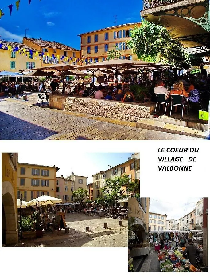 Les Chenes Verts Valbonne Franciaország